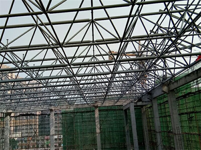 广东光谷第十一小学网架